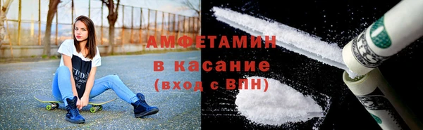 индика Вязьма