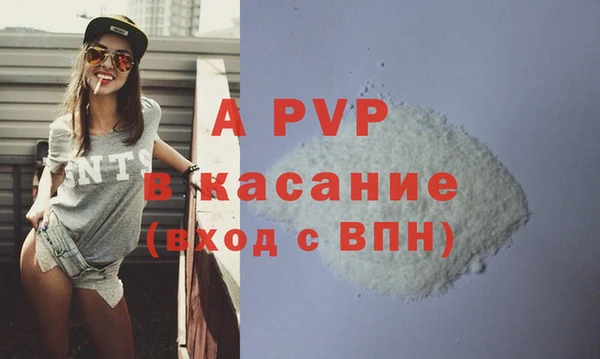 стафф Вяземский