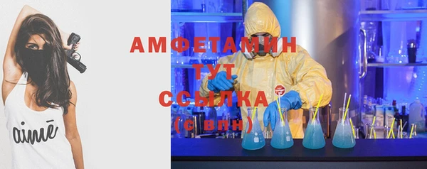 стафф Вяземский
