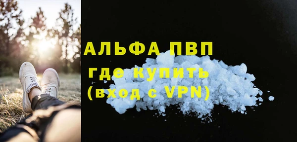 индика Вязьма