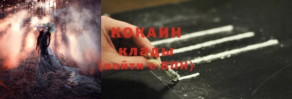 стафф Вяземский