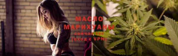 индика Вязьма