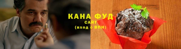 индика Вязьма