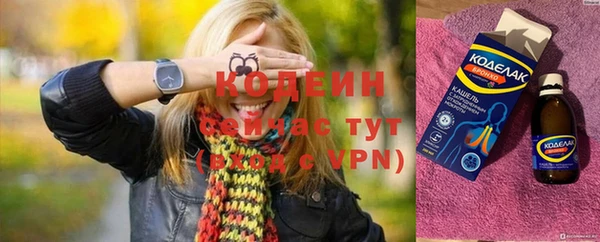 индика Вязьма