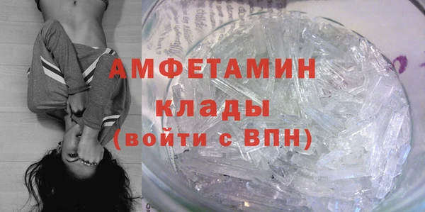 индика Вязьма