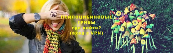стафф Вяземский