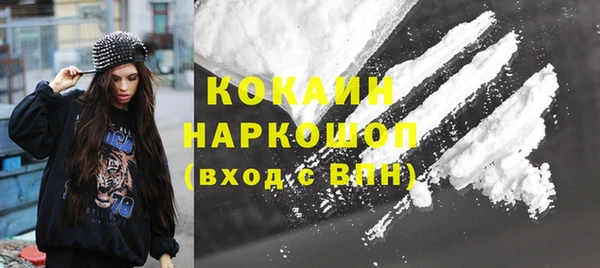 индика Вязьма