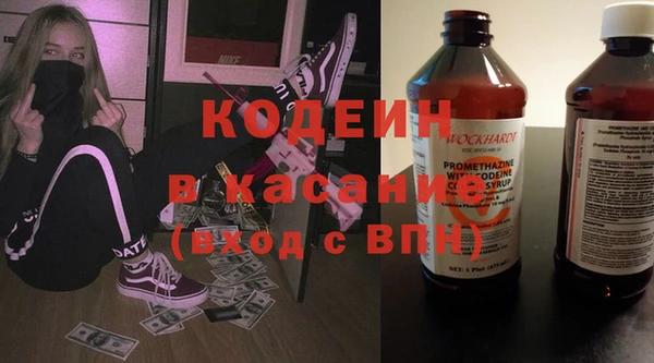 индика Вязьма
