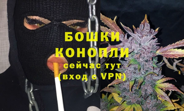 индика Вязьма