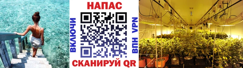 продажа наркотиков  Сыктывкар  Канабис LSD WEED 